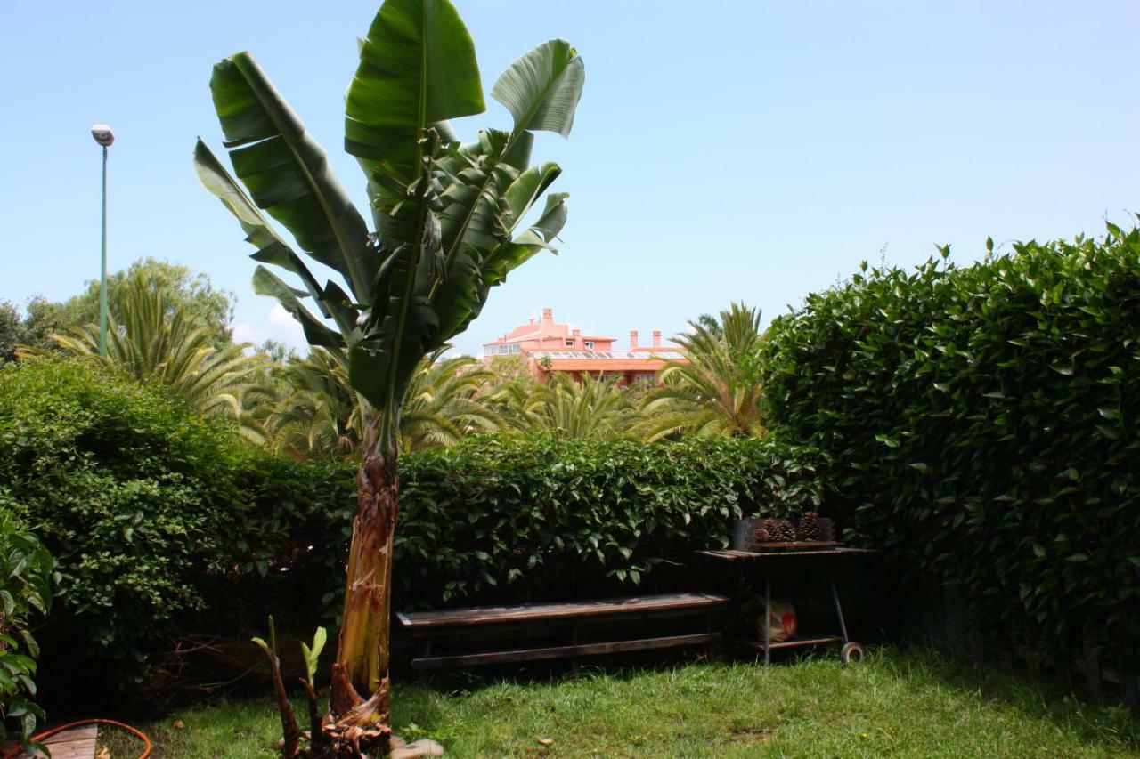 Apartamentos Con Jardin Y Pescina 푸에르토 드 라 크루즈 외부 사진