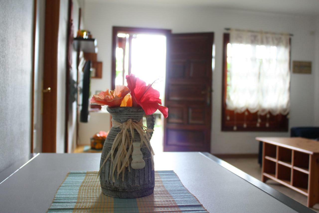 Apartamentos Con Jardin Y Pescina 푸에르토 드 라 크루즈 외부 사진